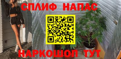 мяу мяу мука Новозыбков