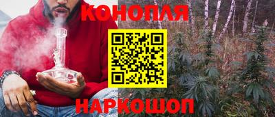 стаф Новодвинск